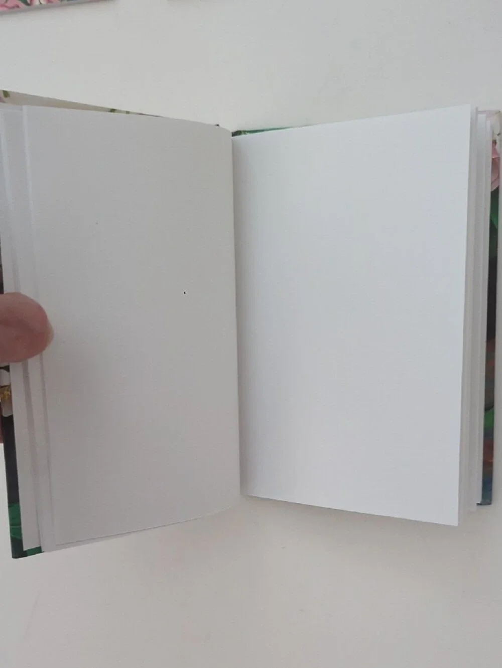 Bundle Of 2 Daily Organizers & Blank Notebook New